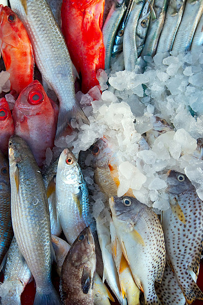 IUU