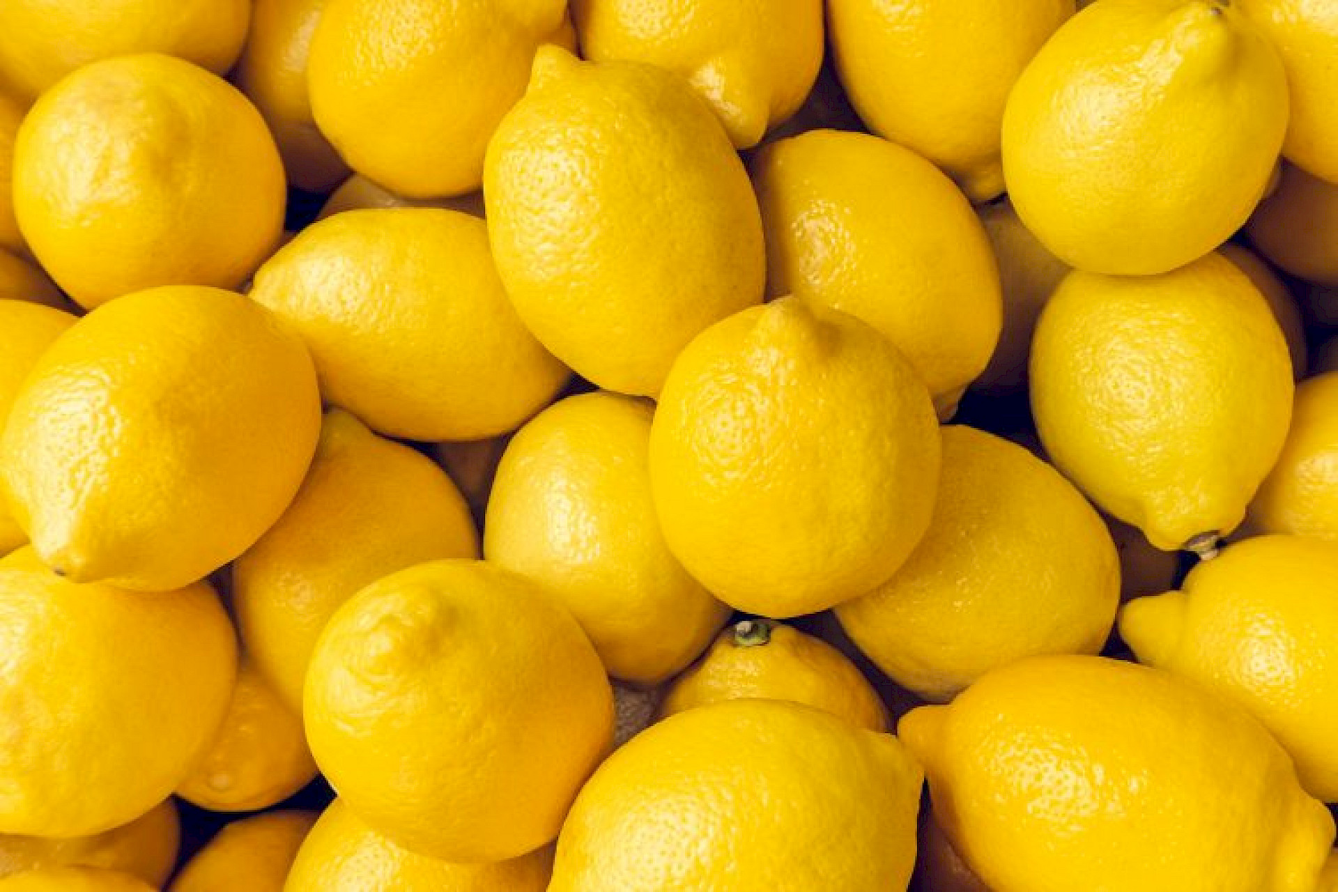 Lemons