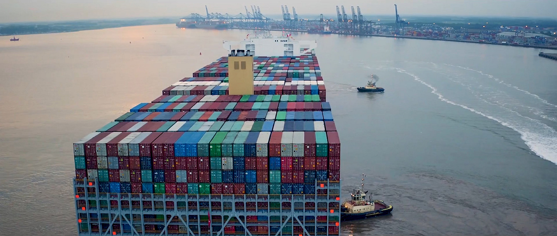 DEFRA IMPORT AND EXPORT NEWSLETTER - 09/09/2019 image