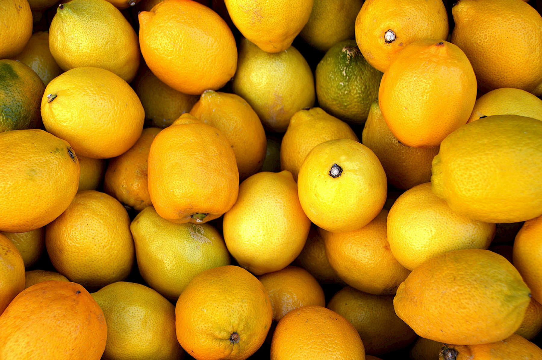 Importing Organic Products into Great Britain - April 2021 update image