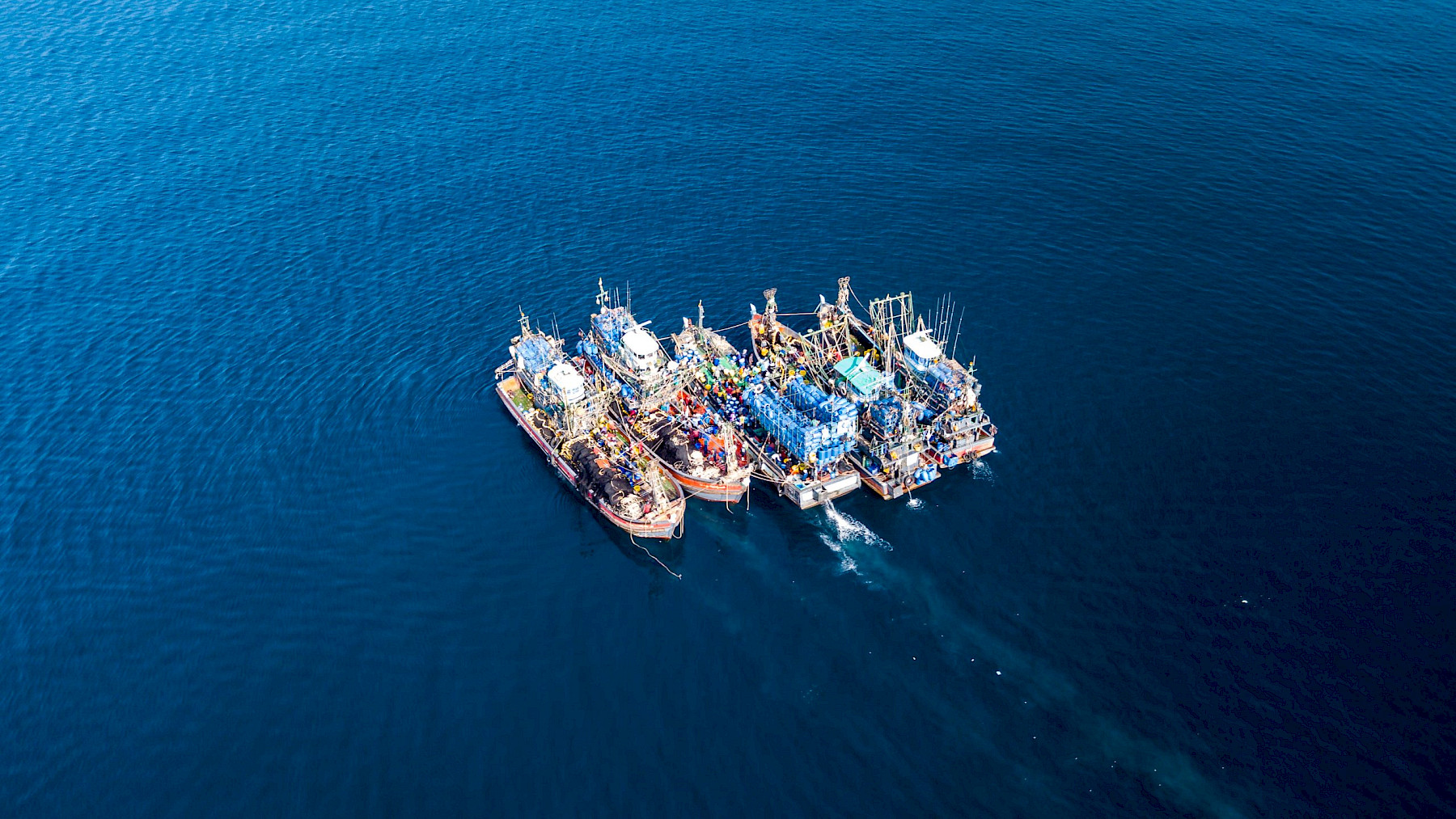 DEFRA reiterates Illegal, Unreported and Unregulated fishing requirements image