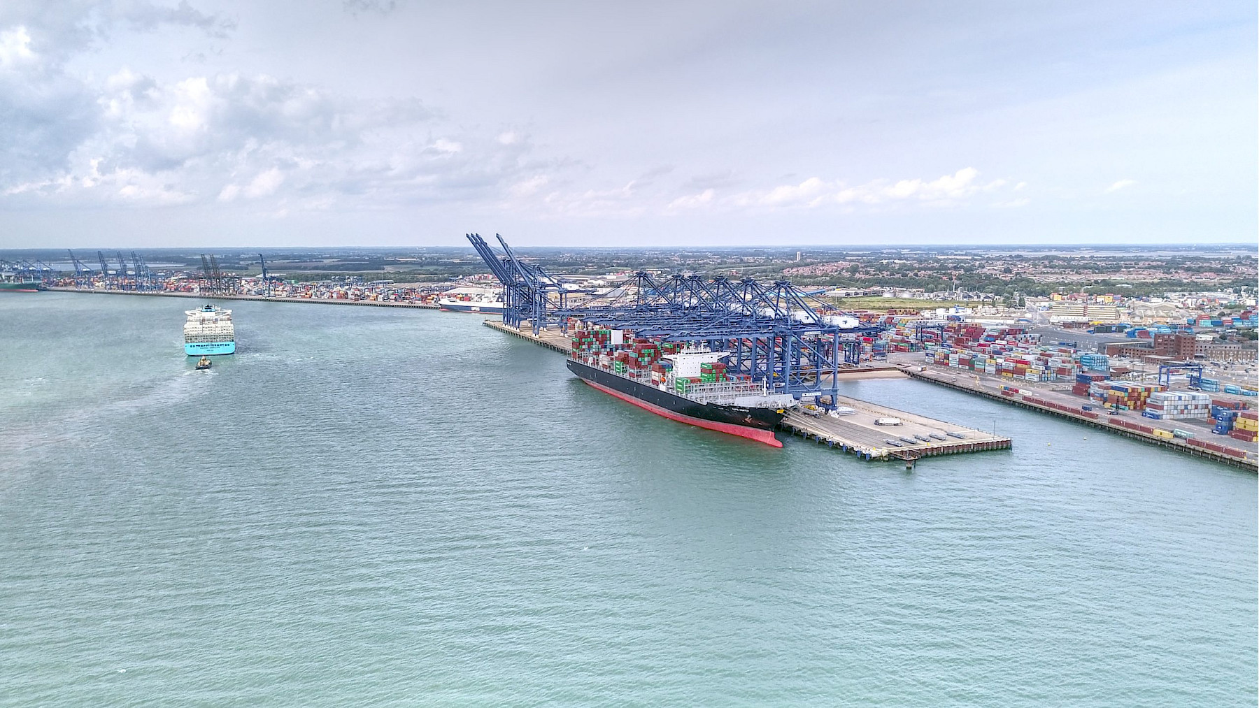 SCPHA Operations Update: Streamlining Trade Correspondence and Import Procedures image