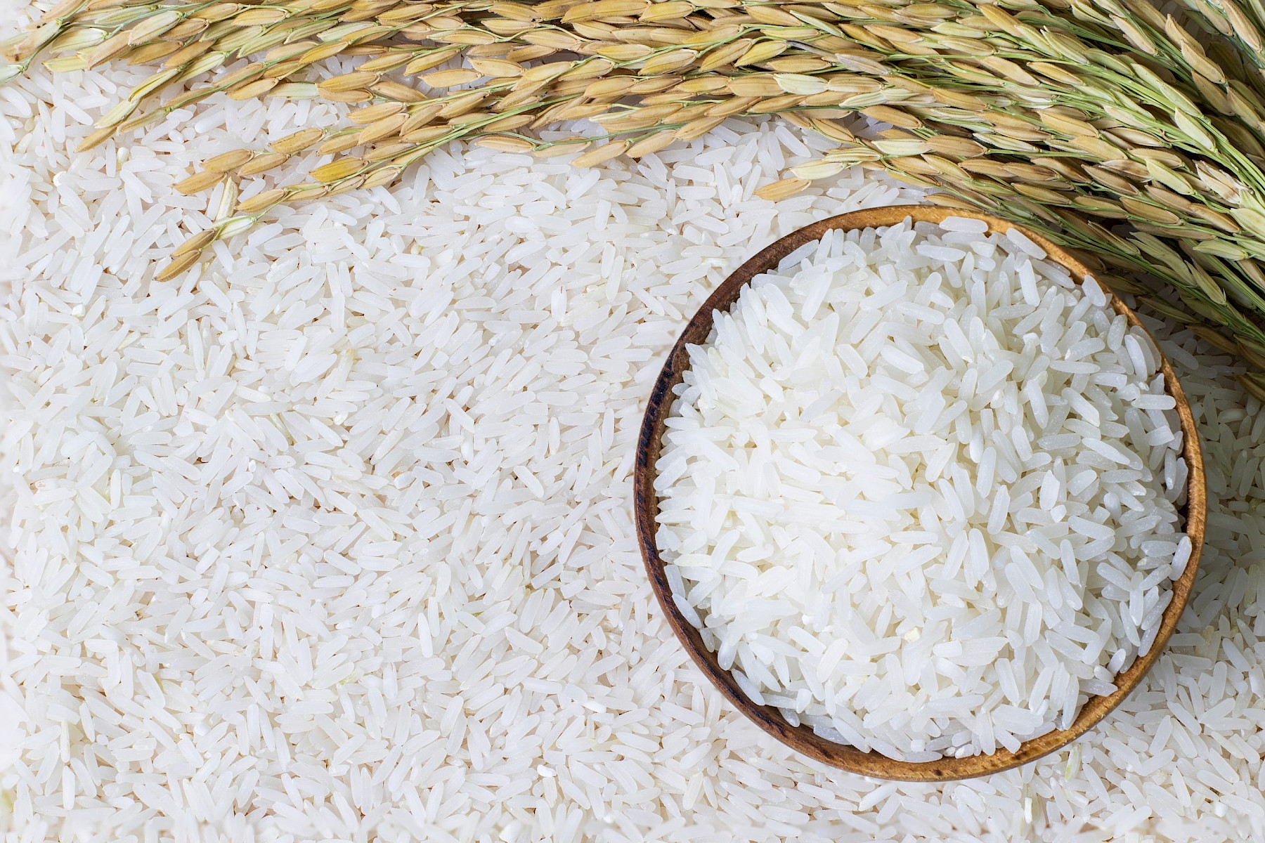 Importing high-risk food and feed of non-animal origin from the EU into Great Britain image